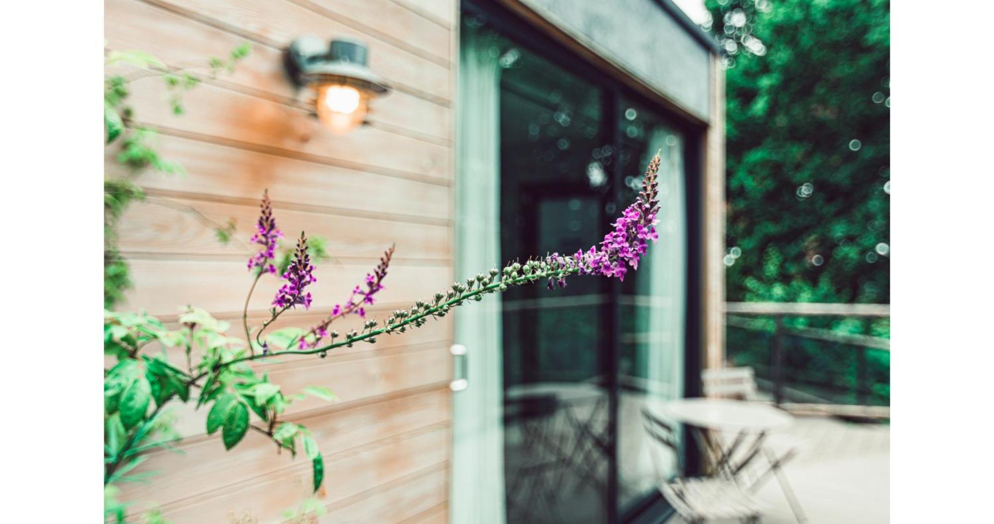Clophill Eco Lodges Екстериор снимка
